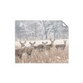 Picture of Oh Deer  _GroupedProduct_Rectangle_Landscape_Photography _GroupedProduct_Rectangle_Landscape_Unframed_Print_Only_