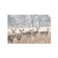 Picture of Oh Deer  _GroupedProduct_Rectangle_Landscape_Photography _GroupedProduct_Rectangle_Landscape_Unframed_Print_Only_
