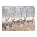 Picture of Oh Deer  _GroupedProduct_Rectangle_Landscape_Photography _GroupedProduct_Rectangle_Landscape_Unframed_Print_Only_
