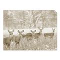 Picture of Oh Deer  _GroupedProduct_Rectangle_Landscape_Photography _GroupedProduct_Rectangle_Landscape_Unframed_Print_Only_