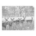 Picture of Oh Deer  _GroupedProduct_Rectangle_Landscape_Photography _GroupedProduct_Rectangle_Landscape_Unframed_Print_Only_