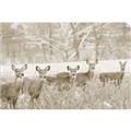 Picture of Oh Deer  _GroupedProduct_Rectangle_Landscape_Photography _GroupedProduct_Rectangle_Landscape_Unframed_Print_Only_