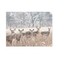 Picture of Oh Deer  _GroupedProduct_Rectangle_Landscape_Photography _GroupedProduct_Rectangle_Landscape_Unframed_Print_Only_