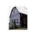 Picture of On the Farm  _GroupedProduct_Rectangle_Portrait_Unframed_Print_Only_
