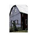 Picture of On the Farm  _GroupedProduct_Rectangle_Portrait_Unframed_Print_Only_