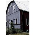 Picture of On the Farm  _GroupedProduct_Rectangle_Portrait_Unframed_Print_Only_
