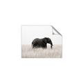 Picture of Out of Africa  _GroupedProduct_Rectangle_Landscape_Photography _GroupedProduct_Rectangle_Landscape_Unframed_Print_Only_