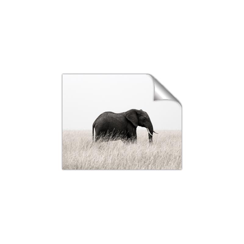 Picture of Out of Africa  _GroupedProduct_Rectangle_Landscape_Photography _GroupedProduct_Rectangle_Landscape_Unframed_Print_Only_
