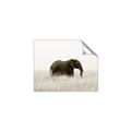 Picture of Out of Africa  _GroupedProduct_Rectangle_Landscape_Photography _GroupedProduct_Rectangle_Landscape_Unframed_Print_Only_