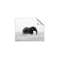 Picture of Out of Africa  _GroupedProduct_Rectangle_Landscape_Photography _GroupedProduct_Rectangle_Landscape_Unframed_Print_Only_