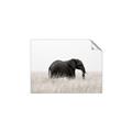 Picture of Out of Africa  _GroupedProduct_Rectangle_Landscape_Photography _GroupedProduct_Rectangle_Landscape_Unframed_Print_Only_
