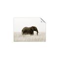Picture of Out of Africa  _GroupedProduct_Rectangle_Landscape_Photography _GroupedProduct_Rectangle_Landscape_Unframed_Print_Only_