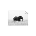 Picture of Out of Africa  _GroupedProduct_Rectangle_Landscape_Photography _GroupedProduct_Rectangle_Landscape_Unframed_Print_Only_