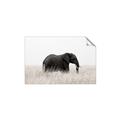 Picture of Out of Africa  _GroupedProduct_Rectangle_Landscape_Photography _GroupedProduct_Rectangle_Landscape_Unframed_Print_Only_