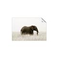 Picture of Out of Africa  _GroupedProduct_Rectangle_Landscape_Photography _GroupedProduct_Rectangle_Landscape_Unframed_Print_Only_