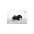Picture of Out of Africa  _GroupedProduct_Rectangle_Landscape_Photography _GroupedProduct_Rectangle_Landscape_Unframed_Print_Only_