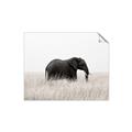 Picture of Out of Africa  _GroupedProduct_Rectangle_Landscape_Photography _GroupedProduct_Rectangle_Landscape_Unframed_Print_Only_