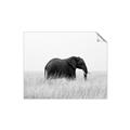 Picture of Out of Africa  _GroupedProduct_Rectangle_Landscape_Photography _GroupedProduct_Rectangle_Landscape_Unframed_Print_Only_