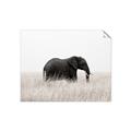 Picture of Out of Africa  _GroupedProduct_Rectangle_Landscape_Photography _GroupedProduct_Rectangle_Landscape_Unframed_Print_Only_