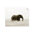 Picture of Out of Africa  _GroupedProduct_Rectangle_Landscape_Photography _GroupedProduct_Rectangle_Landscape_Unframed_Print_Only_