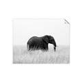 Picture of Out of Africa  _GroupedProduct_Rectangle_Landscape_Photography _GroupedProduct_Rectangle_Landscape_Unframed_Print_Only_
