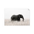 Picture of Out of Africa  _GroupedProduct_Rectangle_Landscape_Photography _GroupedProduct_Rectangle_Landscape_Unframed_Print_Only_