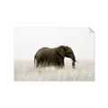 Picture of Out of Africa  _GroupedProduct_Rectangle_Landscape_Photography _GroupedProduct_Rectangle_Landscape_Unframed_Print_Only_