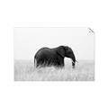 Picture of Out of Africa  _GroupedProduct_Rectangle_Landscape_Photography _GroupedProduct_Rectangle_Landscape_Unframed_Print_Only_