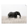 Picture of Out of Africa  _GroupedProduct_Rectangle_Landscape_Photography _GroupedProduct_Rectangle_Landscape_Unframed_Print_Only_