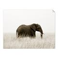 Picture of Out of Africa  _GroupedProduct_Rectangle_Landscape_Photography _GroupedProduct_Rectangle_Landscape_Unframed_Print_Only_