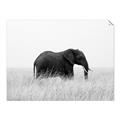 Picture of Out of Africa  _GroupedProduct_Rectangle_Landscape_Photography _GroupedProduct_Rectangle_Landscape_Unframed_Print_Only_