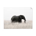 Picture of Out of Africa  _GroupedProduct_Rectangle_Landscape_Photography _GroupedProduct_Rectangle_Landscape_Unframed_Print_Only_