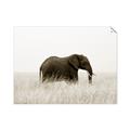 Picture of Out of Africa  _GroupedProduct_Rectangle_Landscape_Photography _GroupedProduct_Rectangle_Landscape_Unframed_Print_Only_