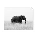 Picture of Out of Africa  _GroupedProduct_Rectangle_Landscape_Photography _GroupedProduct_Rectangle_Landscape_Unframed_Print_Only_
