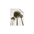 Picture of Palm Trees  _GroupedProduct_Rectangle_Portrait_Photography _GroupedProduct_Rectangle_Portrait_Unframed_Print_Only_