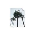 Picture of Palm Trees  _GroupedProduct_Rectangle_Portrait_Photography _GroupedProduct_Rectangle_Portrait_Unframed_Print_Only_