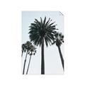 Picture of Palm Trees  _GroupedProduct_Rectangle_Portrait_Photography _GroupedProduct_Rectangle_Portrait_Unframed_Print_Only_