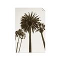 Picture of Palm Trees  _GroupedProduct_Rectangle_Portrait_Photography _GroupedProduct_Rectangle_Portrait_Unframed_Print_Only_