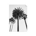 Picture of Palm Trees  _GroupedProduct_Rectangle_Portrait_Photography _GroupedProduct_Rectangle_Portrait_Unframed_Print_Only_