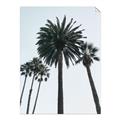 Picture of Palm Trees  _GroupedProduct_Rectangle_Portrait_Photography _GroupedProduct_Rectangle_Portrait_Unframed_Print_Only_
