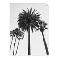 Picture of Palm Trees  _GroupedProduct_Rectangle_Portrait_Photography _GroupedProduct_Rectangle_Portrait_Unframed_Print_Only_