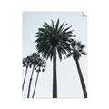 Picture of Palm Trees  _GroupedProduct_Rectangle_Portrait_Photography _GroupedProduct_Rectangle_Portrait_Unframed_Print_Only_
