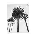 Picture of Palm Trees  _GroupedProduct_Rectangle_Portrait_Photography _GroupedProduct_Rectangle_Portrait_Unframed_Print_Only_