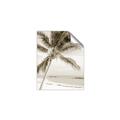 Picture of Palm Trees II _GroupedProduct_Rectangle_Portrait_Photography _GroupedProduct_Rectangle_Portrait_Unframed_Print_Only_