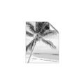 Picture of Palm Trees II _GroupedProduct_Rectangle_Portrait_Photography _GroupedProduct_Rectangle_Portrait_Unframed_Print_Only_