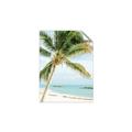 Picture of Palm Trees II _GroupedProduct_Rectangle_Portrait_Photography _GroupedProduct_Rectangle_Portrait_Unframed_Print_Only_