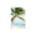 Picture of Palm Trees II _GroupedProduct_Rectangle_Portrait_Photography _GroupedProduct_Rectangle_Portrait_Unframed_Print_Only_