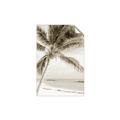 Picture of Palm Trees II _GroupedProduct_Rectangle_Portrait_Photography _GroupedProduct_Rectangle_Portrait_Unframed_Print_Only_