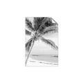Picture of Palm Trees II _GroupedProduct_Rectangle_Portrait_Photography _GroupedProduct_Rectangle_Portrait_Unframed_Print_Only_