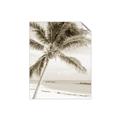 Picture of Palm Trees II _GroupedProduct_Rectangle_Portrait_Photography _GroupedProduct_Rectangle_Portrait_Unframed_Print_Only_